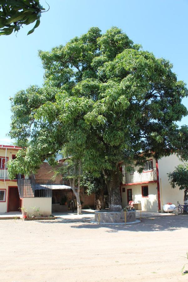 Meson La Huerta Hotel Mascota Bagian luar foto